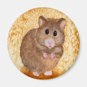 Íman Ímã gordo bonito do hamster