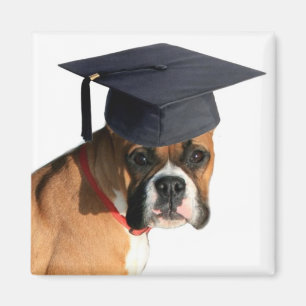 Íman Ímã graduado do pugilista