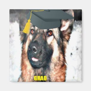 Íman Ímã Graduado Pastor Alemão