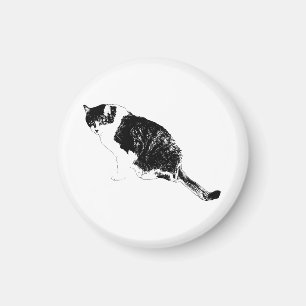Íman Ímã Gráfico de Felino Dá um Novo Clima à Cozinha