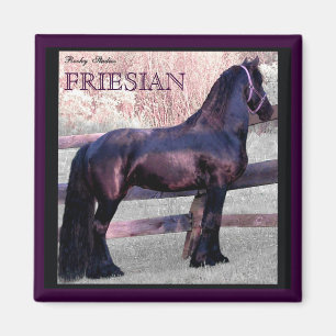 Íman Ímã grande 2 do cavalo do frisão