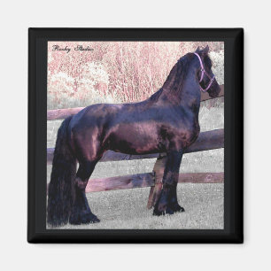 Íman Ímã grande do cavalo do frisão