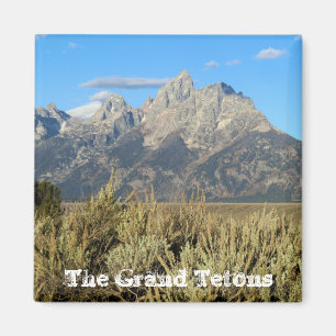 Íman Ímã grande do parque nacional de Teton