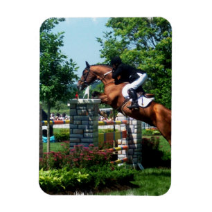 Íman Ímã grande do prêmio do cavalo de Prix