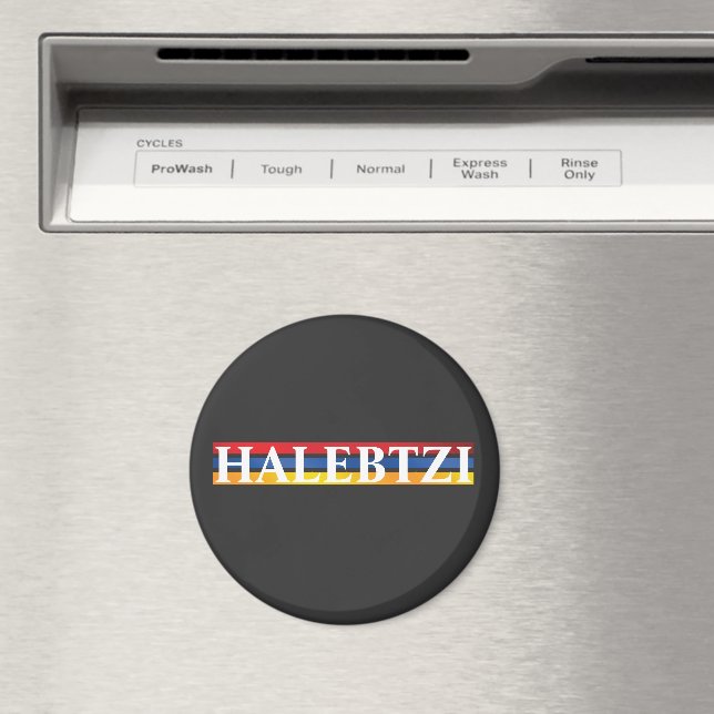 Íman Ímã Halebtzi (In Situ (Dishwasher))