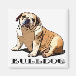Íman Ímã inglês do buldogue
