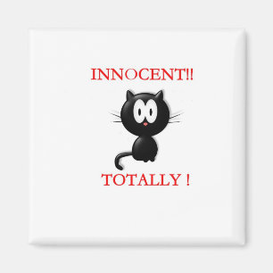 Íman Ímã inocente do gatinho