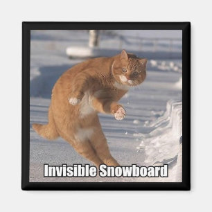 Íman ímã invisível do snowboard