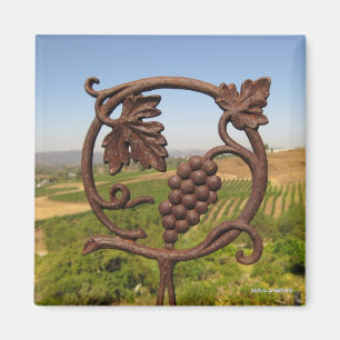 Íman ímã - jardim da região vinícola