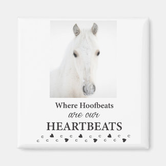 Íman ímã Kootenai