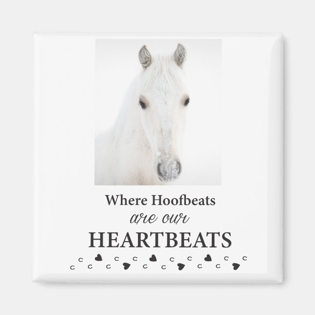 Íman ímã Kootenai (Frente)