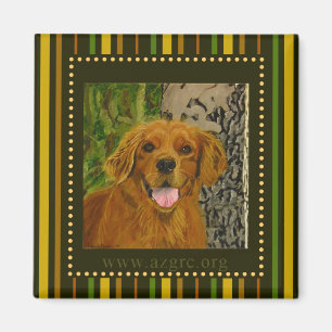 Íman Ímã listrado AZGRC do golden retriever