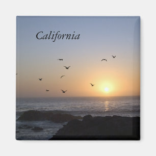 Íman Ímã litoral do por do sol