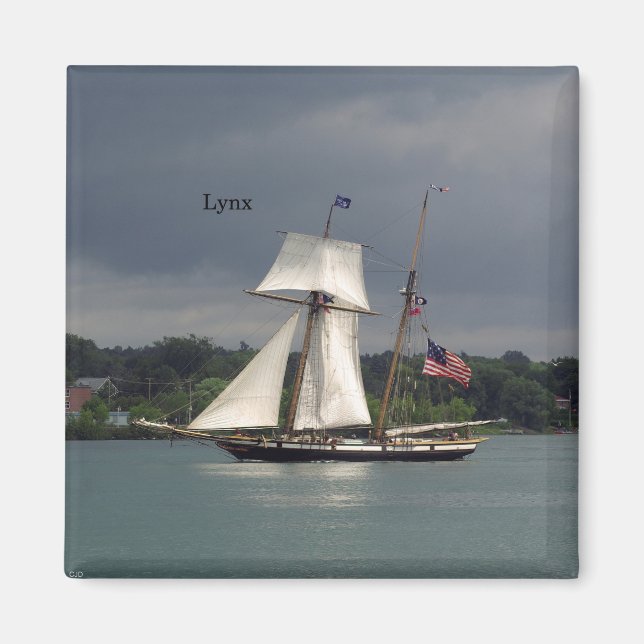 Íman ímã Lynx (Frente)