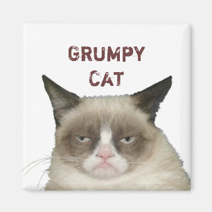 Íman Ímã mal-humorado do gato com texto