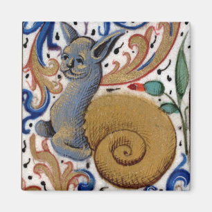 Íman Ímã medieval do caracol-gato
