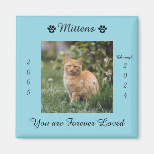 Íman Ímã Memorial de Recordação de Gato