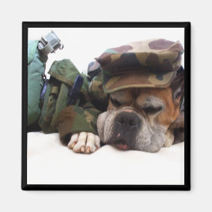 Íman Ímã militar do pugilista