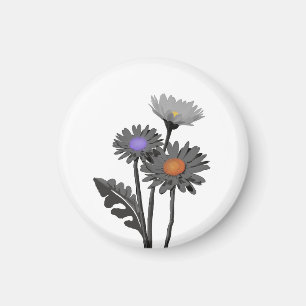 Íman ímã Monocromo Daisys