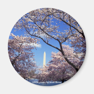 Íman Ímã/monumento de Washington