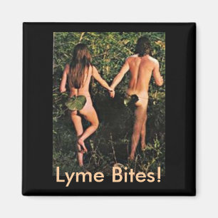 Íman Ímã - mordidas de Lyme!