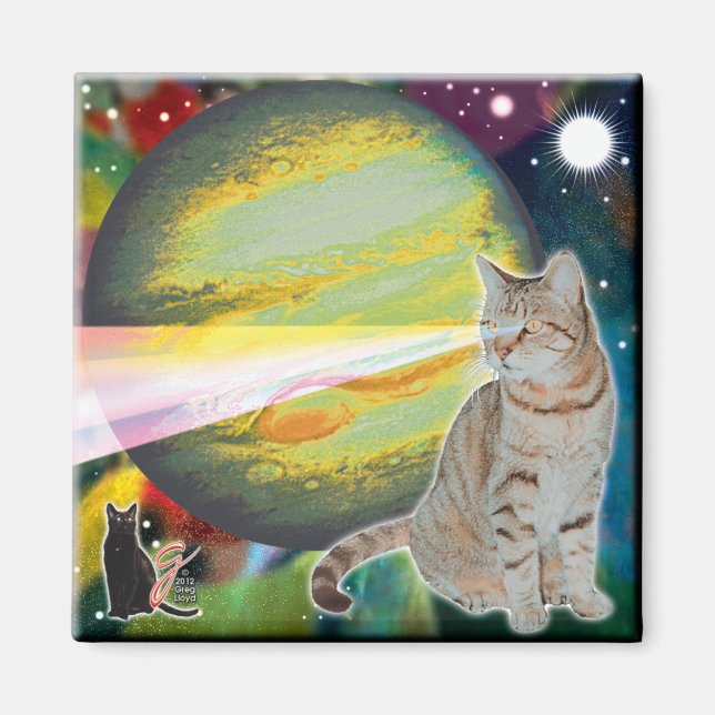 Íman Ímã Musgo-corpo de Gato-Laser (Frente)