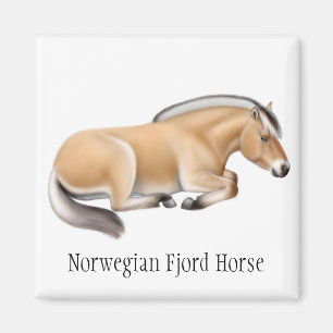 Íman Ímã norueguês do cavalo do fiorde