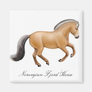 Íman Ímã norueguês do fiorde