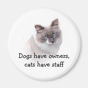 Íman Ímã - os cães têm proprietários, gatos têm