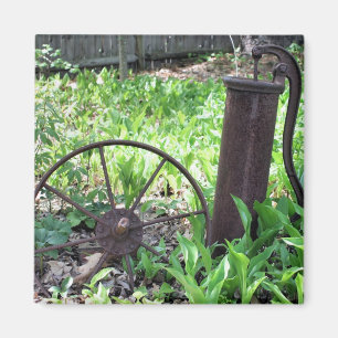 Íman Ímã oxidado da natureza do jardim das coisas