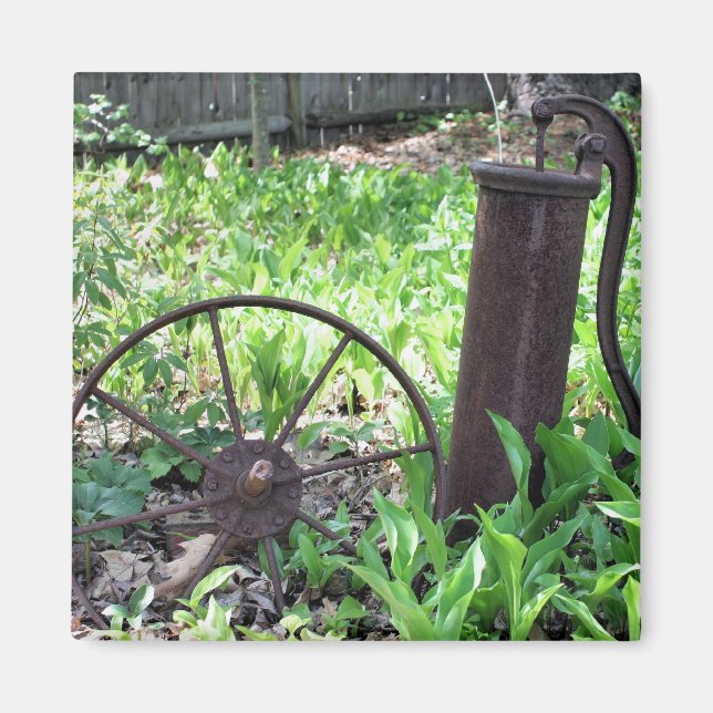 Íman Ímã oxidado da natureza do jardim das coisas (Frente)