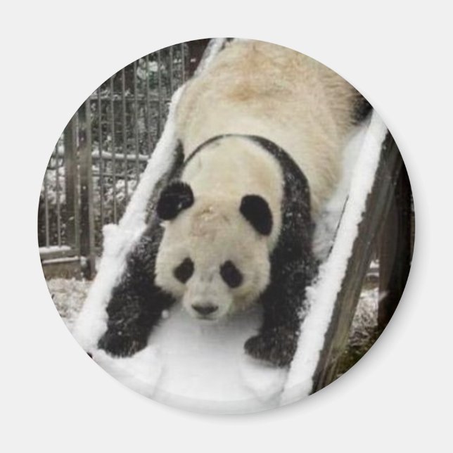 Íman ímã panda (Frente)