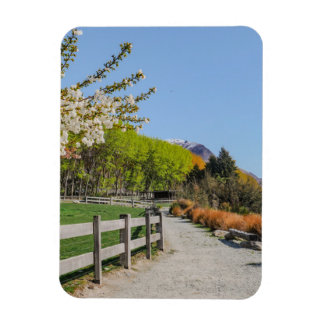 Íman Ímã - pano de fundo do pico de Walter