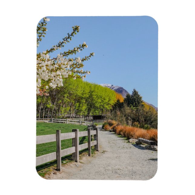 Íman Ímã - pano de fundo do pico de Walter (Vertical)