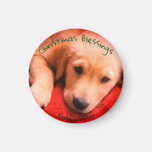 Íman Ímã pequeno, redondo do filhote de cachorro do
