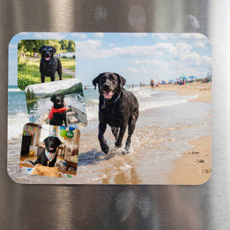 Íman Ímã Personalizado Colagem de 4 Fotos