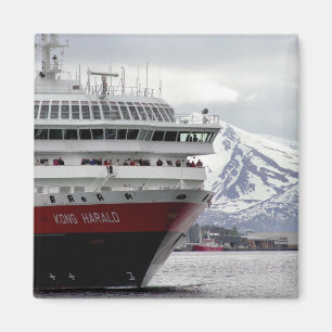 Íman Ímã polar de Cruiseship
