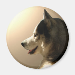 Íman Ímã/presente do Alasca do cão de trenó da imã