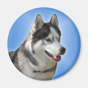 Íman Ímã/presente do Alasca do cão de trenó da imã