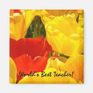 Íman Ímã Presentes Professor do Mundo! Tulipa Flores