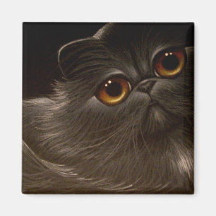 Íman Ímã PRETO do CAT PERSA