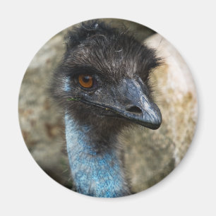 Íman Ímã principal do Emu