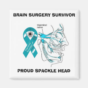 Íman Ímã principal do Spackle