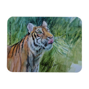 Íman Ímã psto em perigo do tigre