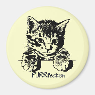 Íman Ímã Purrfection do gato