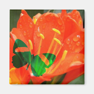 Íman Ímã Quadrado Borboleta Flor de Laranja