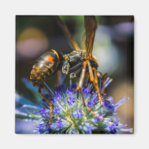 Íman Ímã Quadrado de 2 Polegadas Bee Aware