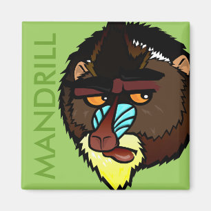 ÍMAN ÍMÃ QUADRADO DE MANDRILL