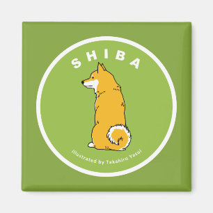 Íman Ímã quadrado de Shiba