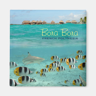Íman Ímã quadrado do tubarão com texto de Bora Bora